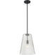 Saben 1 Light 11 inch Matte Black Pendant Ceiling Light